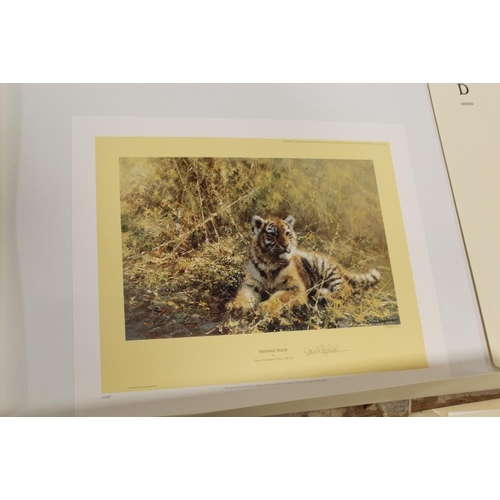 50 - AN UNFRAMED SIGNED LIMITED EDITION DAVID SHEPHERD PRINT ENTITLED 'TEENAGE TIGER' N0. 1396/1500