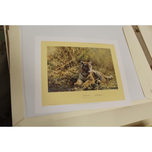 51 - AN UNFRAMED SIGNED LIMITED EDITION DAVID SHEPHERD PRINT ENTITLED 'TEENAGE TIGER' N0. 1398/1500