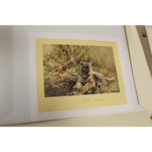 53 - AN UNFRAMED SIGNED LIMITED EDITION DAVID SHEPHERD PRINT ENTITLED 'TEENAGE TIGER' N0. 1386/1500