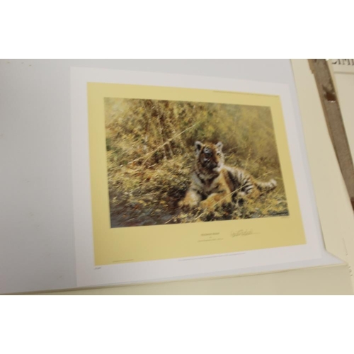 55 - AN UNFRAMED SIGNED LIMITED EDITION DAVID SHEPHERD PRINT ENTITLED 'TEENAGE TIGER' N0. 1388/1500