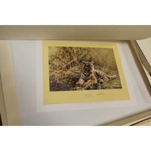 56 - AN UNFRAMED SIGNED LIMITED EDITION DAVID SHEPHERD PRINT ENTITLED 'TEENAGE TIGER' N0. 1380/1500