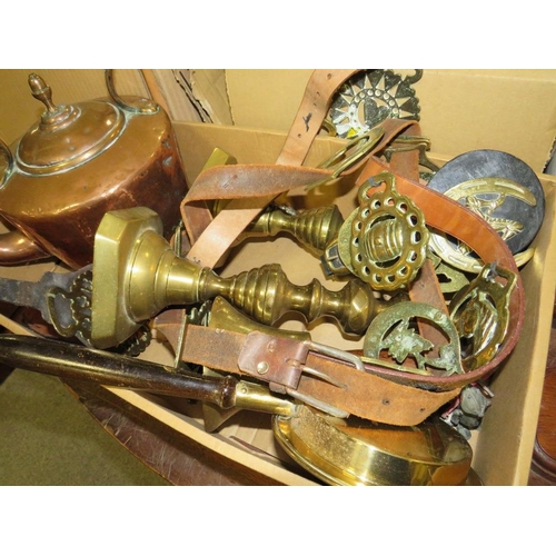 123 - A BOX OF ASSORTED METALWARE TO INCLUDE A VINTAGE COPPER KETTLE, WOODEN HANDLES CARVING SET, JAGUAR C... 