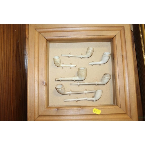 208 - TWO FRAMED CLAY PIPE DISPLAYS