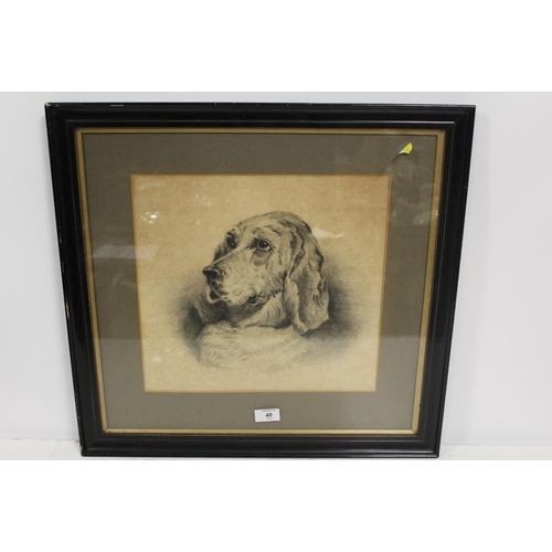 38 - A FRAMED AND GLAZED PORTRAIT STUDY OF A SPANIEL DOG 33 X 35 CM