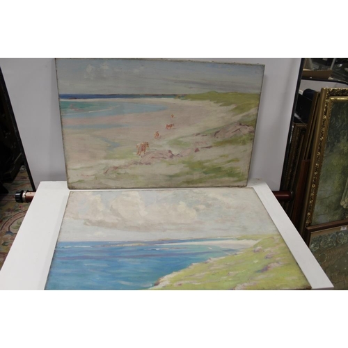 6 - A PAIR OF UNFRAMED COASTAL SCENE OIL ON CANVAS ONE SIGNED C.STENHOUSE