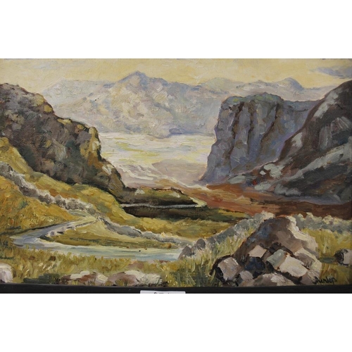 8 - A FRAMED IMPRESSIONIST OIL ON BOARD OF A MOUNTAINOUS RIVER LANDSCAPE SIGNED DUNLOP LOWER RIGHT