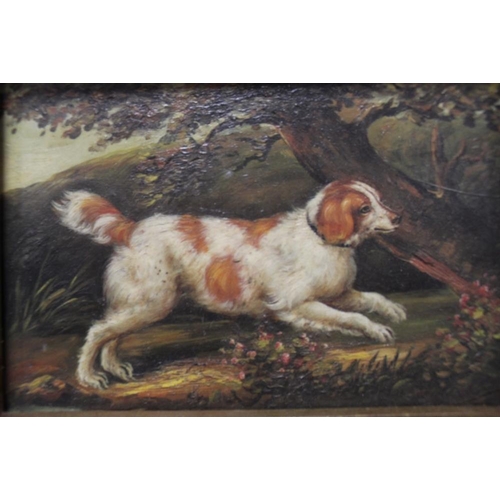 14 - A SMALL GILT FRAMED PAINTING OF A SPANIEL - H11.5 CM W 16 CM TOGETHER WITH A QUANTITY OF PICTURES AN... 