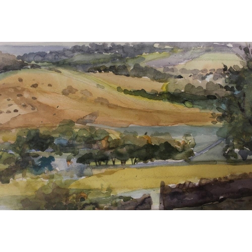 17 - A FRAMED AND GLAZED WATERCOLOUR OF A HILLSIDE VIEW BY BARBARA STEWART - H 35.5 CM W 43.5 CM