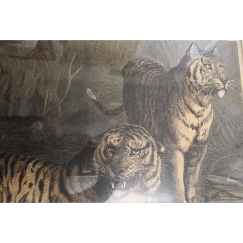 31 - FOUR ASSORTED FRAMED AND GLAZED PRINTS TO INCLUDE A TIGER COLOUR ENGRAVING ENTITLED 'ROYAL GAME' - H... 