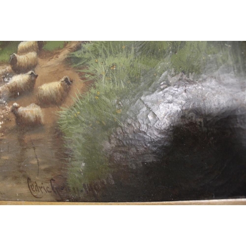 33 - A PAIR OF OIL ON CANVAS FEATURING SHEEP IN A RURAL SETTING SIGNED CEDRIC GRAY LOWER RIGHT  - H 77 CM... 