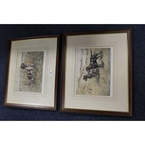 46 - TWO FRAMED & GLAZED SIGNED LIMITED EDITION GUN DOG PRINTS 36 X 27.5 CM