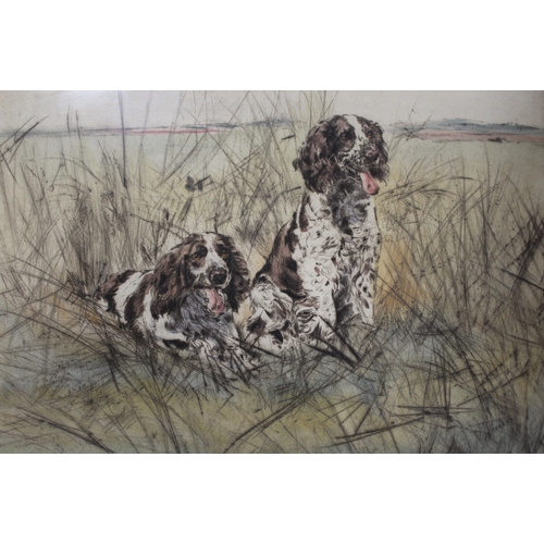 46 - TWO FRAMED & GLAZED SIGNED LIMITED EDITION GUN DOG PRINTS 36 X 27.5 CM