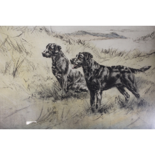 46 - TWO FRAMED & GLAZED SIGNED LIMITED EDITION GUN DOG PRINTS 36 X 27.5 CM