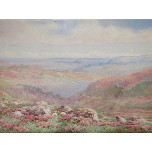 111 - BERTRAM MORRISH. British school, an early 20th century extensive coastal moorland scene 'Nr. Meavy, ... 