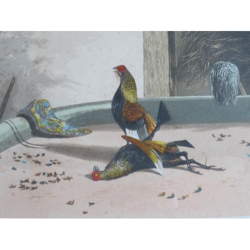 16 - A SET OF SIX COCKFIGHTING COLOURED ENGRAVINGS AFTER N FIELDING, published July 1853 by R. Ackeman at... 