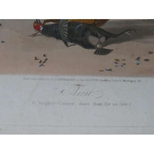 16 - A SET OF SIX COCKFIGHTING COLOURED ENGRAVINGS AFTER N FIELDING, published July 1853 by R. Ackeman at... 