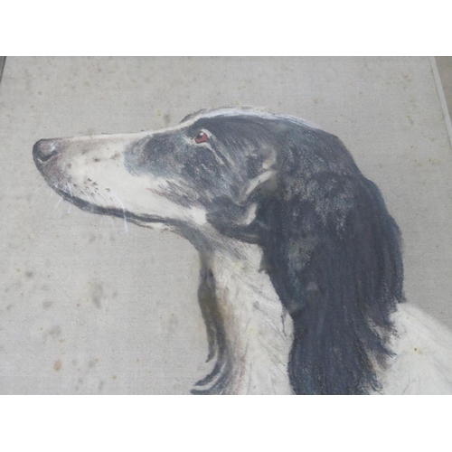 25 - H. A. CAMERON-ROSE (XIX-XX). A portrait of a dog, signed lower right, mixed media on paper laid on b... 