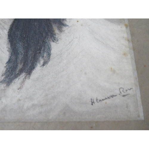 25 - H. A. CAMERON-ROSE (XIX-XX). A portrait of a dog, signed lower right, mixed media on paper laid on b... 