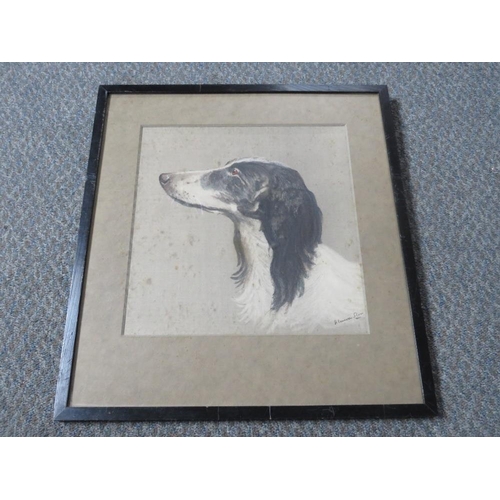 25 - H. A. CAMERON-ROSE (XIX-XX). A portrait of a dog, signed lower right, mixed media on paper laid on b... 