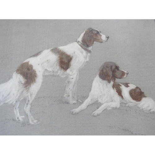 28 - H.A. CAMERON-ROSE (XIX-XX). Study of two spaniels, signed lower right, mixed media on paper laid on ... 