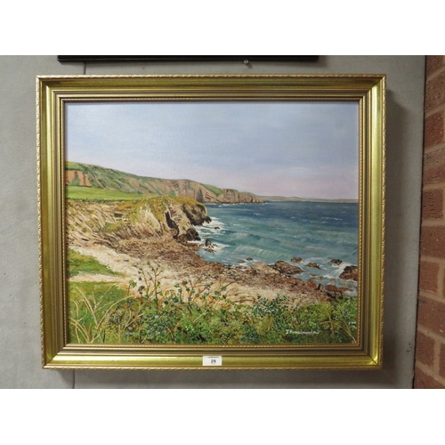 29 - A GILT FRAMED OIL ON BOARD OF A ROCKY COASTAL SCENE SIGNED LOWER RIGHT J BROADMEADOW LOWER RIGHT