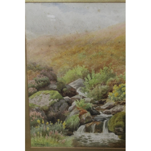 17 - AN ANTIQUE GILT FRAMED AND GLAZED WATERCOLOUR OF A WATERFALL INDISTINCTLY SIGNED LOWER LEFT TOGETHER... 