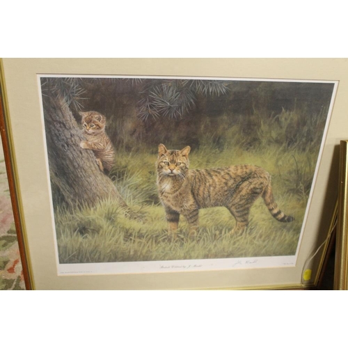 35 - A QUANTITY OF FRAMED AND GLAZED PICTURES AND PRINTS ETC