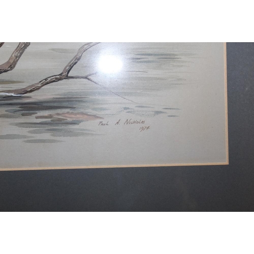 1 - A MODERN PICTURE OF FOUR DUCKS SIGNED PAUL A NICHOLAS 1974 35.5 X 53 CM