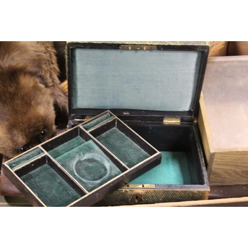 49 - A TRAY OF ASSORTED COLLECTABLES TO INCLUDE A VINTAGE SATCHEL AND A FOX FUR STOLE ETC