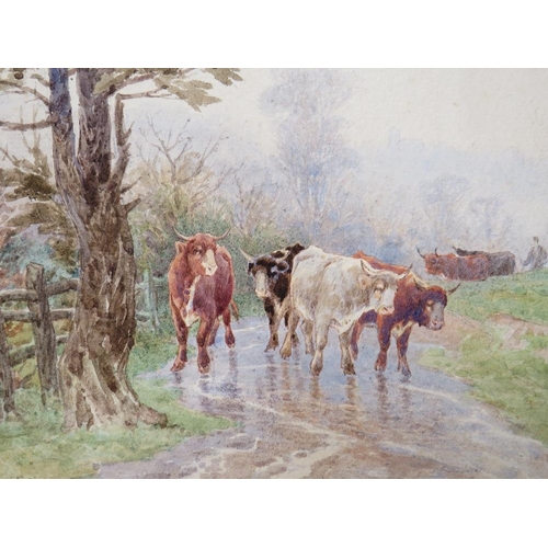 106 - CHARLES PIGOTT (1863-1940). Misty wooded landscape with cattle and drover in a lane, signed bottom l... 