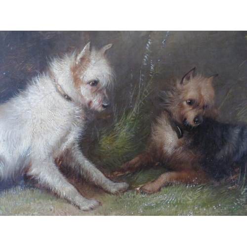 179 - ATTRIBUTED TO GEORGE ARMFIELD (1808-1893). Two terriers at a rabbit hole, unsigned, oil on canvas, f... 