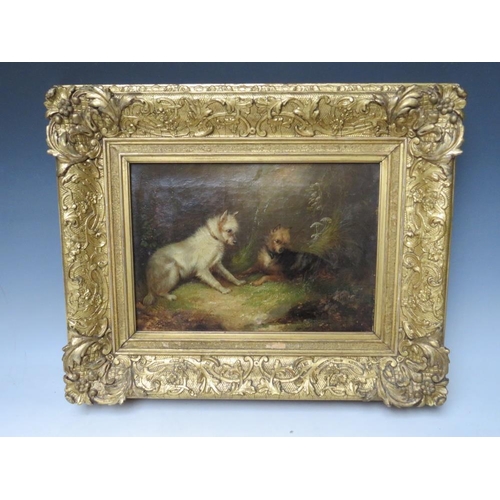 179 - ATTRIBUTED TO GEORGE ARMFIELD (1808-1893). Two terriers at a rabbit hole, unsigned, oil on canvas, f... 