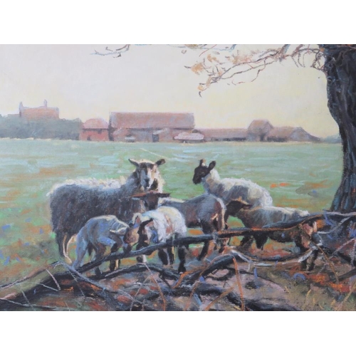 28 - STEVENSON. Sheep and lambs resting by a tree, farm buildings in background, signed and dated 1987 lo... 