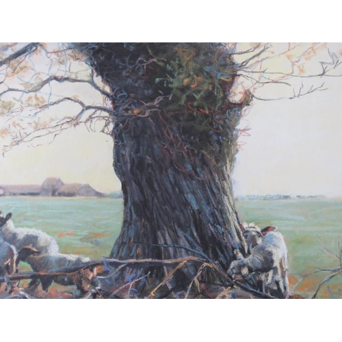 28 - STEVENSON. Sheep and lambs resting by a tree, farm buildings in background, signed and dated 1987 lo... 