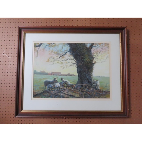 28 - STEVENSON. Sheep and lambs resting by a tree, farm buildings in background, signed and dated 1987 lo... 