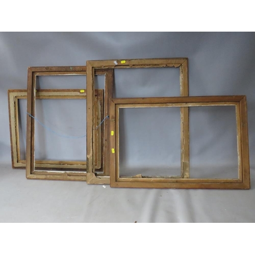 41 - FOUR 19TH CENTURY MAPLE FRAMES WITH SLIPS, average frame W 3.5 cm, smallest rebate 53 x 43 cm, large... 