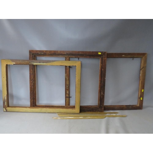 43 - THREE 19TH CENTURY MAPLE FRAMES WITH SLIPS, average frame W 4.5 cm, smallest rebate 69 x 44 cm, larg... 