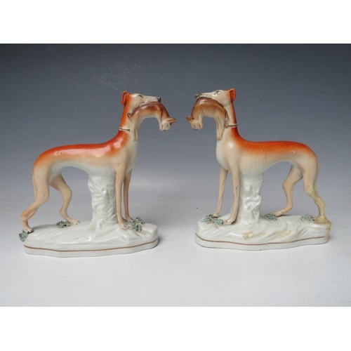 443 - A PAIR OF 19TH CENTURY STAFFORDSHIRE GREYHOUNDS WITH HARES IN THEIR MOUTHS, H 19 cm (2)