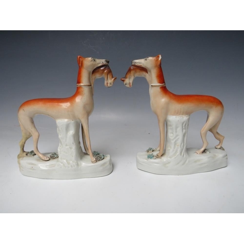 443 - A PAIR OF 19TH CENTURY STAFFORDSHIRE GREYHOUNDS WITH HARES IN THEIR MOUTHS, H 19 cm (2)