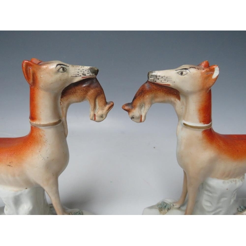 443 - A PAIR OF 19TH CENTURY STAFFORDSHIRE GREYHOUNDS WITH HARES IN THEIR MOUTHS, H 19 cm (2)