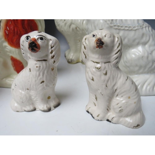 445 - A COLLECTION OF EIGHT ASSORTED STAFFORDSHIRE SEATED SPANIELS, to include a large pair, H 30.5 cm (8)