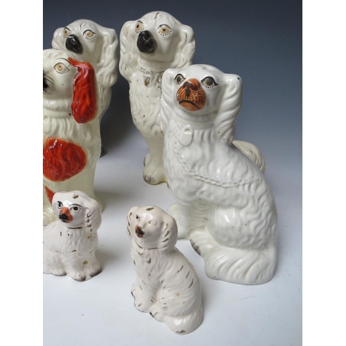 445 - A COLLECTION OF EIGHT ASSORTED STAFFORDSHIRE SEATED SPANIELS, to include a large pair, H 30.5 cm (8)