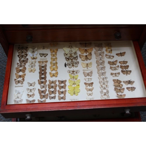 532 - A EARLY 20TH CENTURY MAHOGANY TEN DRAWER COLLECTORS CABINET WITH VARIOUS LEPIDOPTERA, one drawer emp... 