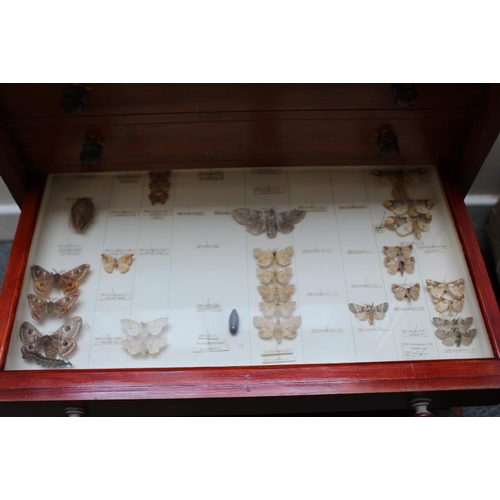 532 - A EARLY 20TH CENTURY MAHOGANY TEN DRAWER COLLECTORS CABINET WITH VARIOUS LEPIDOPTERA, one drawer emp... 