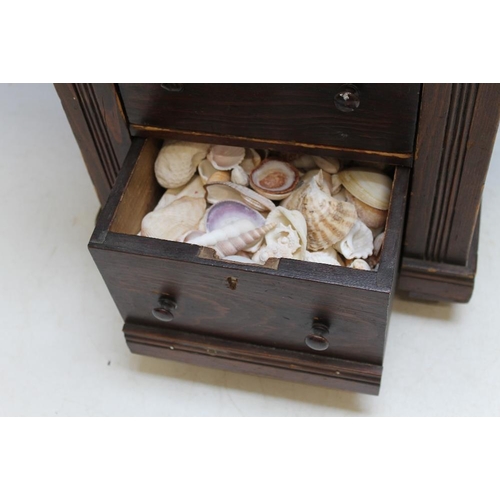 533 - A TABLE TOP MAHOGANY CHEST OF DRAWS CONTAINING A SHELL COLLECTION, H 43 cm