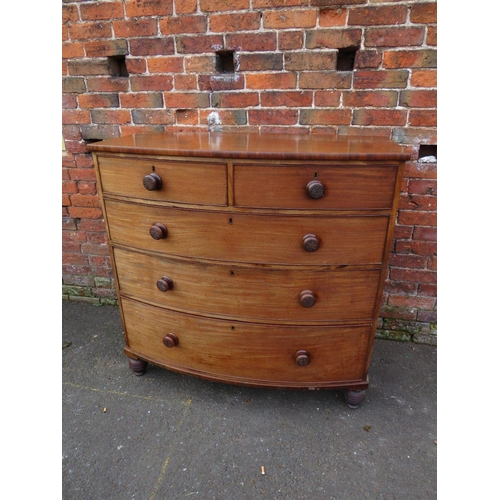 585 - A 19TH CENTURY MAHOGANY BOW FRONTED CHEST OF TWO SHORT ABOVE THREE LONGER GRADUATED DRAWERS, with la... 