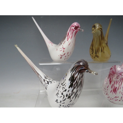 427 - A COLLECTION OF FOUR WEDGWOOD LONG TAIL GLASS BIRDS, varying colourways, two being signed to base, o... 