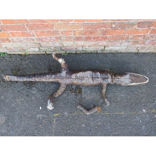 518 - TAXIDERMY - A CAIMAN CROCODILE, L 151 cm, A/FCondition Report::Loss to end of the tail and right fro... 