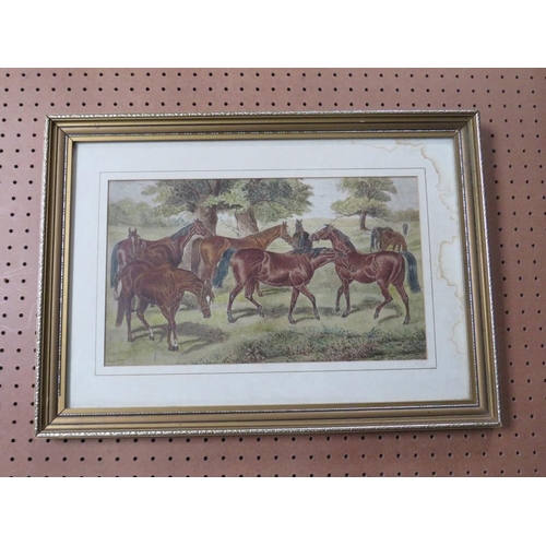 37 - ROGERSON (XIX). British school, study of a group of horses in a wooded meadow, signed and dated 1875... 