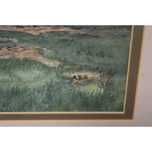 31 - A FRAMED AND GLAZED WATERCOLOUR OF A SHADY WOODLAND SCENE, INITIALLED LOWER RIGHT A.S.B.